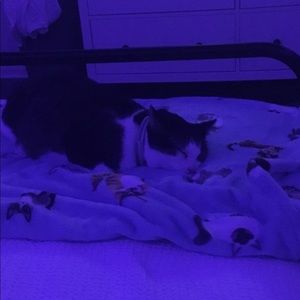 Meet your Posher, Angelina